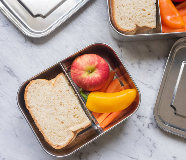 eco friendly metal food box
